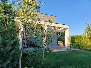 Duplex Dumbravita, proprietar - imagine 4