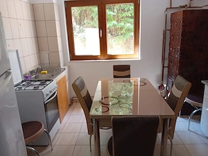 Apartament 2 camere in regim hotelier - Baile Herculane  - imagine 6