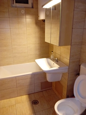 Apartament 2 camere in regim hotelier - Baile Herculane  - imagine 7