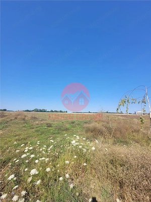 Teren Costinesti 1000 mp, Aproape de Plaja si de Nibiru, Ideal Investitie - imagine 8