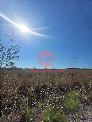 Teren Costinesti 1000 mp, Aproape de Plaja si de Nibiru, Ideal Investitie - imagine 5