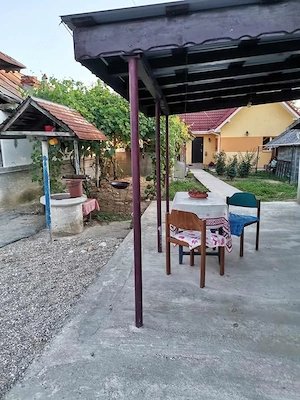 Vand casa in sat VLADULENI - imagine 9
