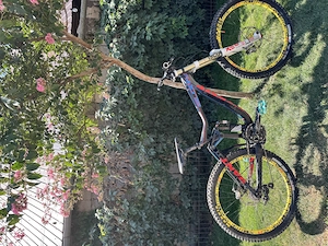 Giant glory dh 2015