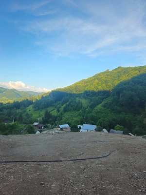 1 hai Bistrița Bârgăului '-Pietroasa , 13 km Colibita  - imagine 3
