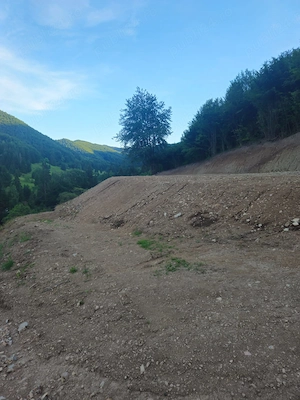 1 hai Bistrița Bârgăului '-Pietroasa , 13 km Colibita  - imagine 5