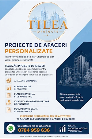 Dezvoltare proiecte business 