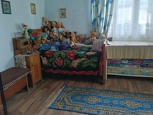 Teren 1.5 ha plus casa, sat Herina, la 15 km de Bistrita - imagine 5