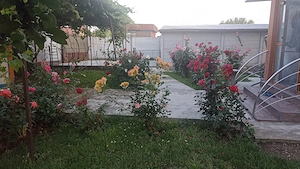 Casă de vânzare în Fundulea  - imagine 5