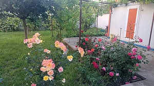 Casă de vânzare în Fundulea  - imagine 4