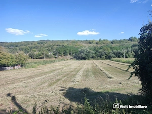 Teren intravilan 1900 mp, TAGA  sat NASAL, pretabil constructie, zona verde