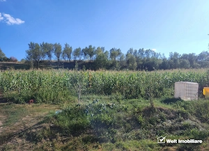 Teren intravilan 2976 mp, TAGA sat NASUL, zona lacuri
