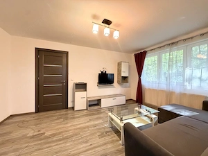 COMISION 0% - DE INCHIRIAT - Apartament de lux, 2 camera, parter - Take Ionescu - imagine 2