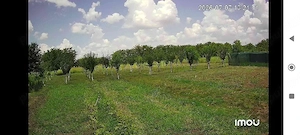 Oferta!!!Domeniu Proprietate Unicat 1 HA Intravilan | Libertate | 1h Bucuresti - imagine 8