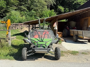 Buggy Off-Road WF350   350cc, 25CP   Stare foarte bună - imagine 4