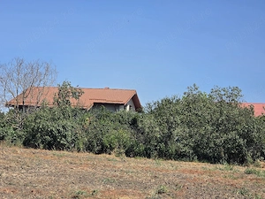 teren intravilan direct proprietar - imagine 2