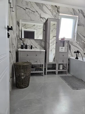 Mosnita-Duplex - Compartimentare excelenta - imagine 4