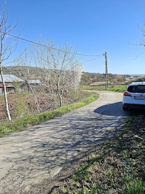 Teren 2600mp2 Sat Dobrușa loc casa etc - imagine 10