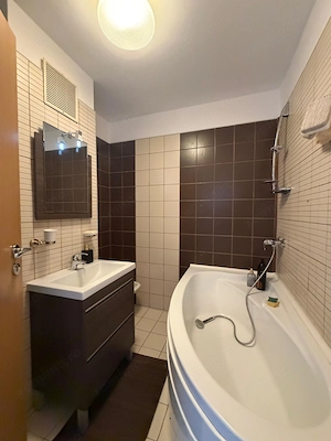 Apartament 3 Camere - 500 euro - Zona Iulius Mall - imagine 9