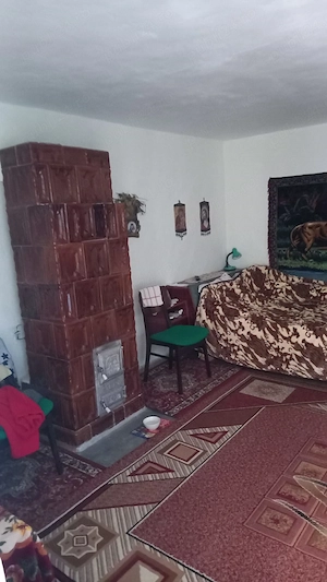 vand casa Com Agas Jud Bacau - imagine 5