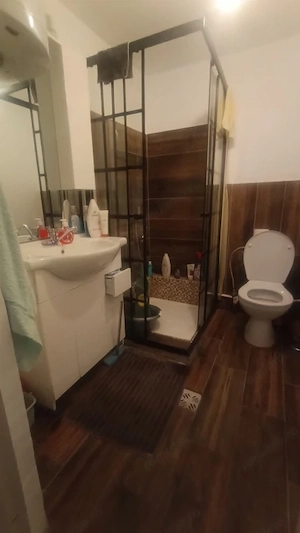 CASA PARTER CRAIOVA CATARGIU - imagine 5