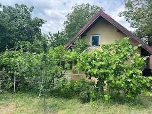 casa sat Postavari com frumusani  - imagine 3