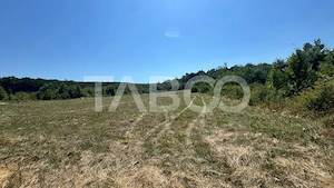 Teren extravilan 2700 mp oportunitate investitie Calea Poplacii Sibiu - imagine 3