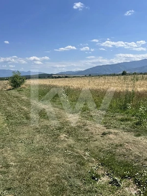 Teren 720 mp Seviș | 23 m front | Oportunitate investiție 24.480€ - imagine 2