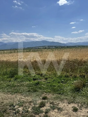 Teren 720 mp Seviș | 23 m front | Oportunitate investiție 24.480€ - imagine 3