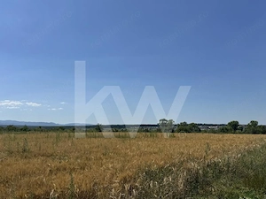 Teren 720 mp Seviș | 23 m front | Oportunitate investiție 24.480€ - imagine 12
