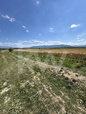 Teren 720 mp Seviș | 23 m front | Oportunitate investiție 24.480€ - imagine 5
