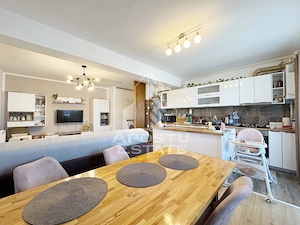 Apartament 3 camere de vanzare,70mp utili + 12 mp terasa, Calea Urseni - imagine 3