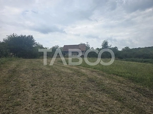 Teren de vanzare 8700 mp cu un front de 30m in Sura Mare - imagine 2