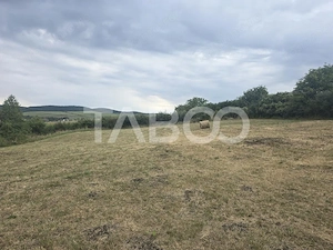Teren de vanzare 8700 mp cu un front de 30m in Sura Mare - imagine 5