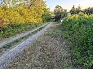 Parcele intravilan viile satu mare