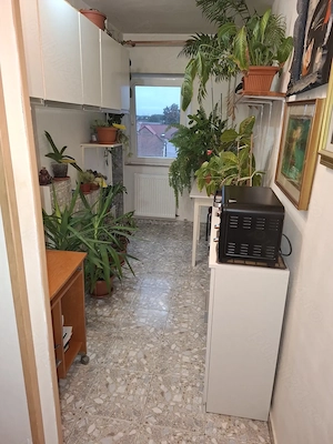 Proprietar vand apartament decomandat, cu 1 camera zona St. cel Mare - imagine 5