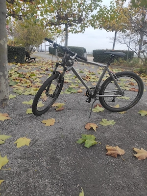 bicicletă mountainbike 26 gazelle!!!!