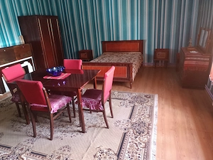 Casă de vânzare în centrul localității Vinga  - imagine 8