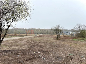 Teren intravilan de vanzare in Snagov – Ciofliceni