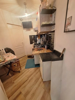 Vanzare apartament 1 camera Micro 14 (zona Masnita) - imagine 6