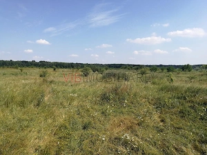 Baneasa - Piscul Reghiului, teren intravilan, suprafata 727 mp - imagine 2