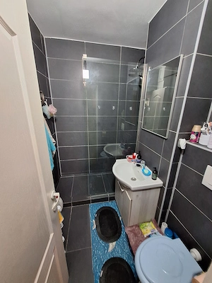 Vanzare apartament 1 camera Micro 14 (zona Masnita) - imagine 8
