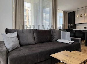 Apartament 2 camere, parcare privata, boxa subsol. Botanic/Iulius Mall - imagine 10