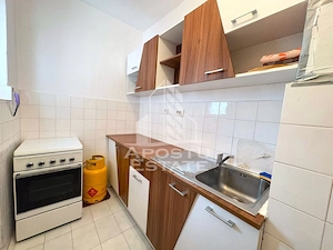 Apartament cu 1 camera de inchiriat in zona Circumvalatiunii - imagine 3