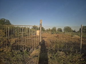 Teren de vanzare intravilan Dascalu 1013 m 52,69L 19,22l cale de acces pe ambele capete PROPRIETAR, - imagine 3