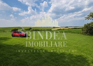 Casa individuala pe parter in Bencecul de Sus 810 mp - imagine 8