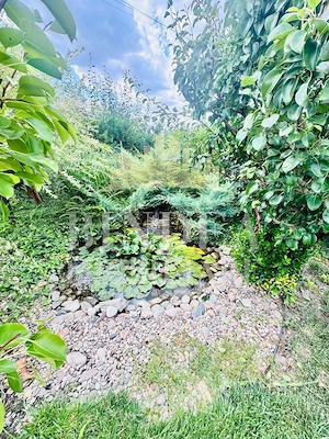 Proprietate individuala premium la intrare in Pischia - imagine 18