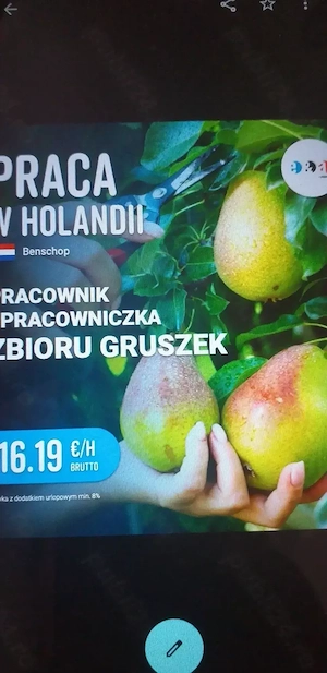 Se caută 2 cupluri pentru pere 