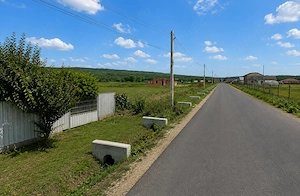 Teren intravilan 3.144 mp Cotu-Vameș   DJ 207C   gaz și electricitate la limita proprietății - imagine 3