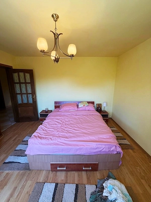Vila spațioasă, complet mobilată,utilata, Branistari Giurgiu - imagine 20