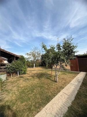 MOSNITA - 4 CAMERE - CASA INDIVIDUALA -PANOURI SOLARE - imagine 8